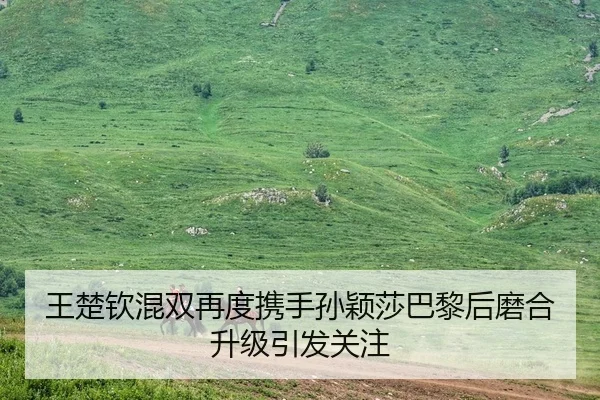 王楚钦混双再度携手孙颖莎巴黎后磨合升级引发关注